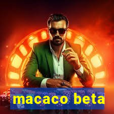 macaco beta