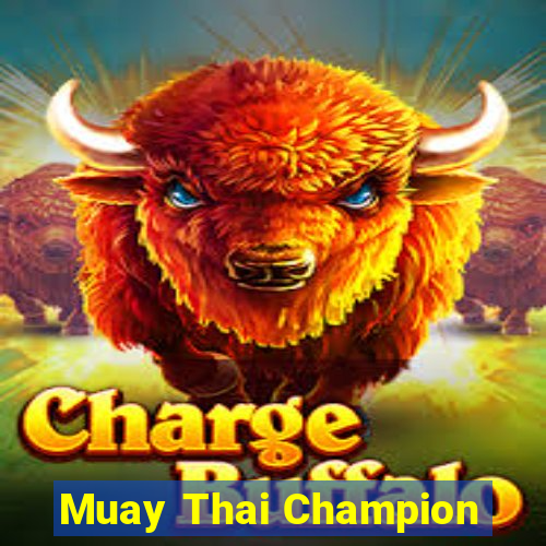 Muay Thai Champion