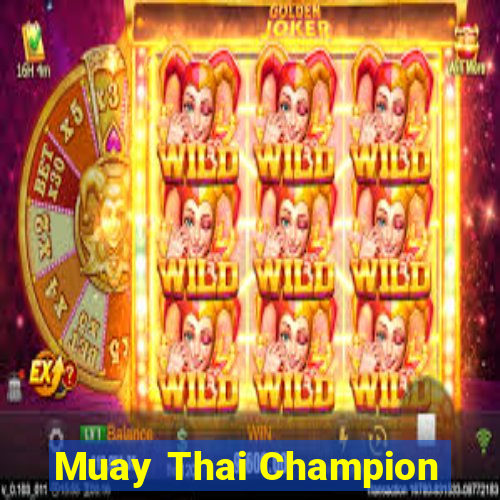 Muay Thai Champion