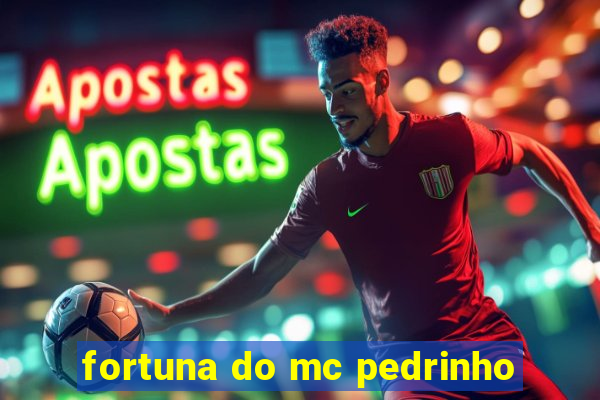 fortuna do mc pedrinho