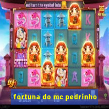 fortuna do mc pedrinho