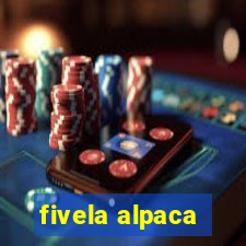 fivela alpaca