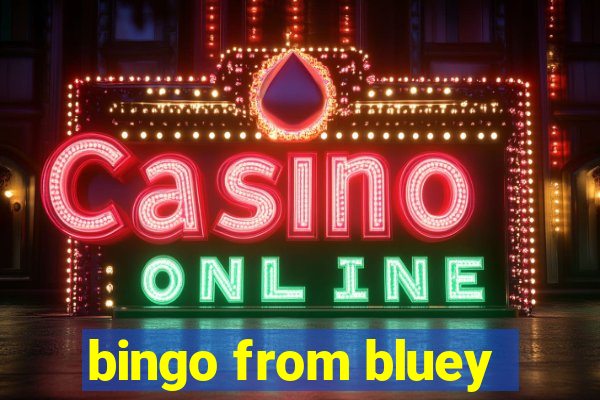 bingo from bluey