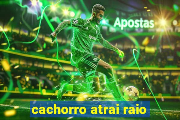 cachorro atrai raio