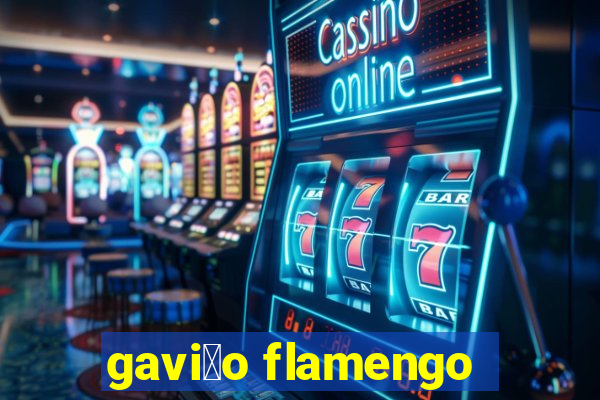 gavi茫o flamengo