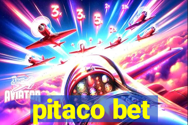 pitaco bet