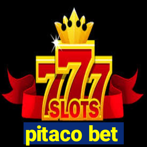 pitaco bet