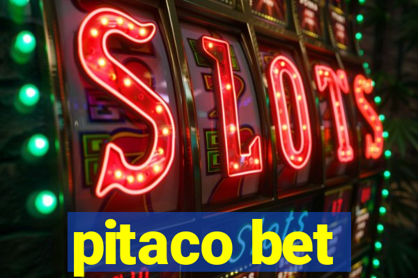 pitaco bet