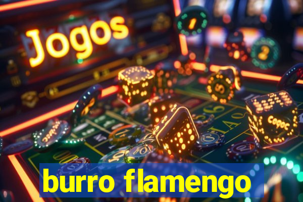 burro flamengo