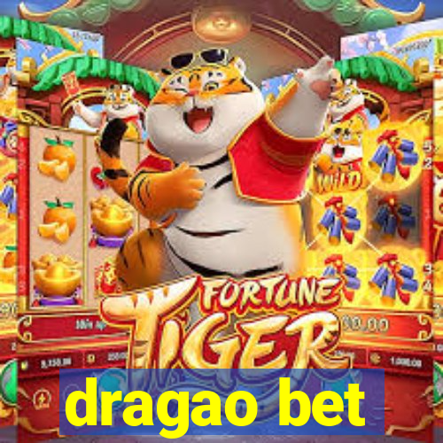 dragao bet