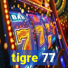 tigre 77