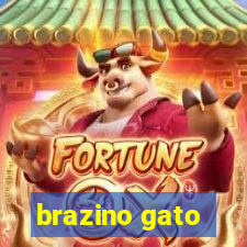 brazino gato