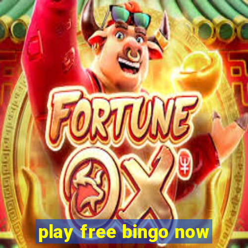 play free bingo now