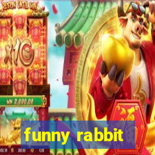 funny rabbit