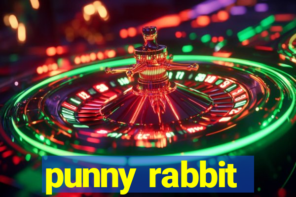 punny rabbit