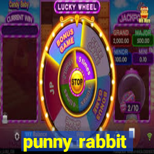 punny rabbit