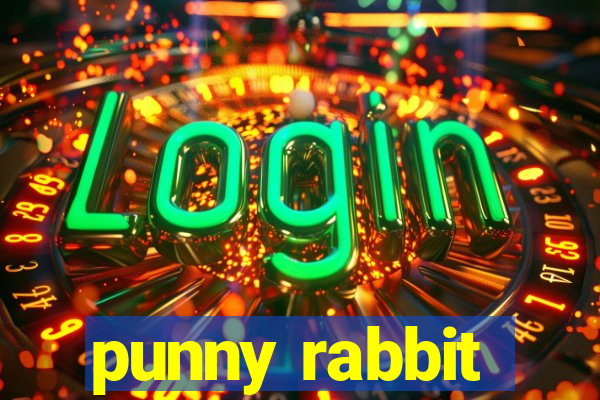 punny rabbit