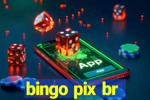 bingo pix br