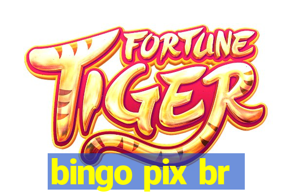 bingo pix br