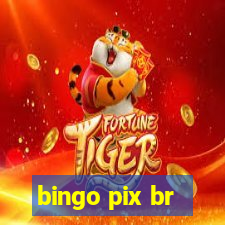 bingo pix br