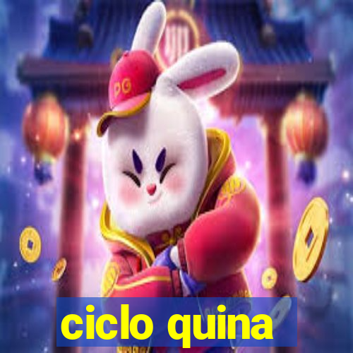 ciclo quina