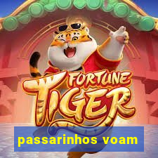 passarinhos voam