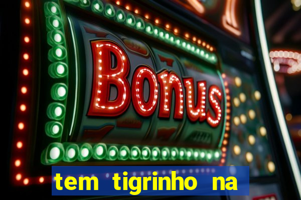 tem tigrinho na bet 365