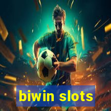 biwin slots