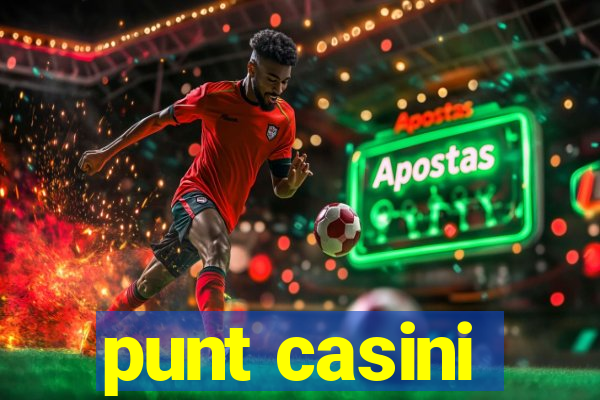 punt casini