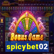 spicybet02