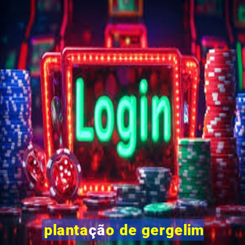 plantação de gergelim