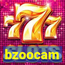 bzoocam