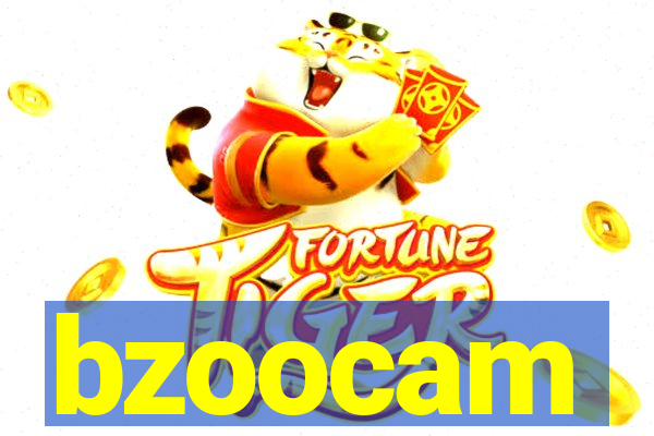 bzoocam