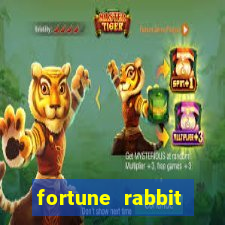 fortune rabbit login Informational