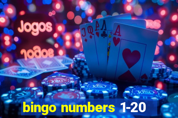 bingo numbers 1-20