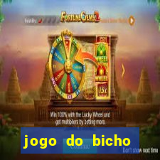 jogo do bicho apostar online