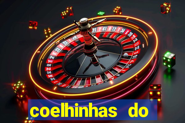 coelhinhas do brasil acompanhantes