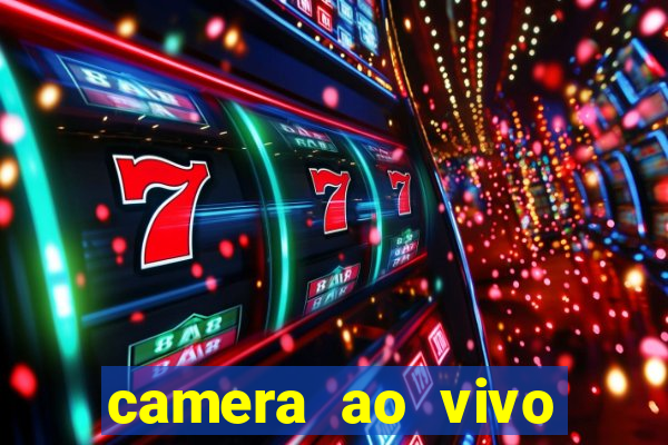 camera ao vivo terminal vila nova cachoeirinha