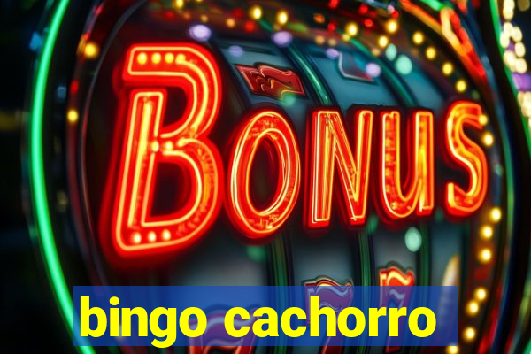 bingo cachorro