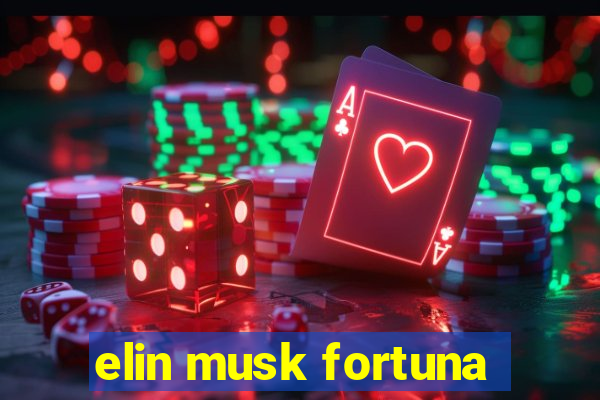 elin musk fortuna