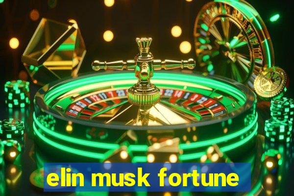 elin musk fortune