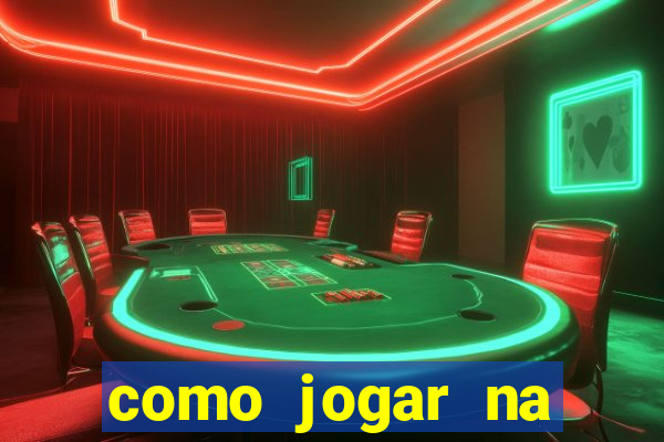 como jogar na lotinha do jogo do bicho