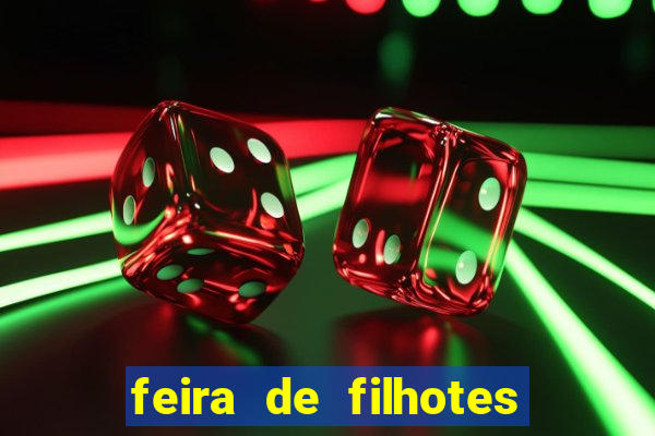 feira de filhotes porto alegre