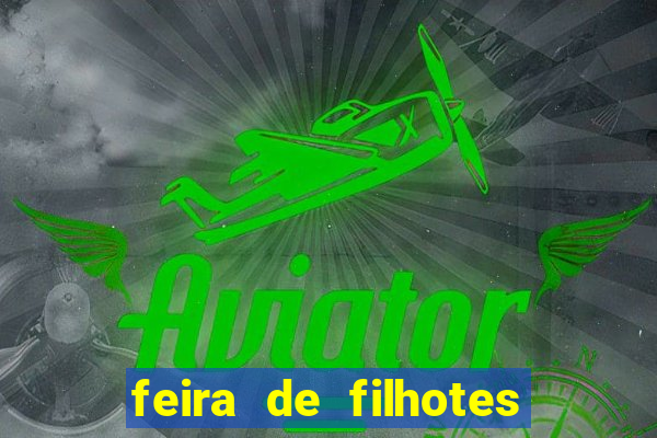 feira de filhotes porto alegre