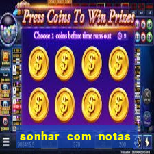 sonhar com notas de 20 reais