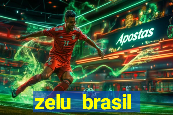 zelu brasil facilitadora de pagamentos ltda jogos