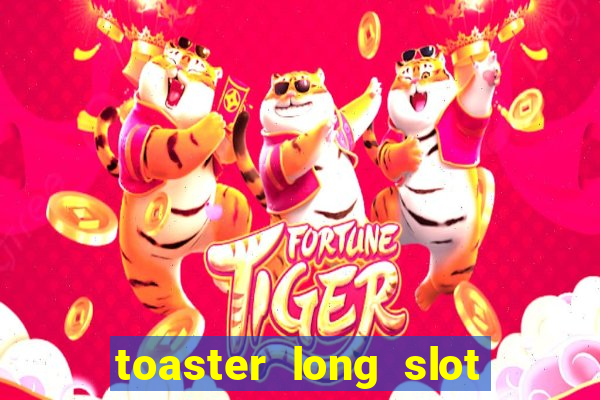 toaster long slot 2 slice