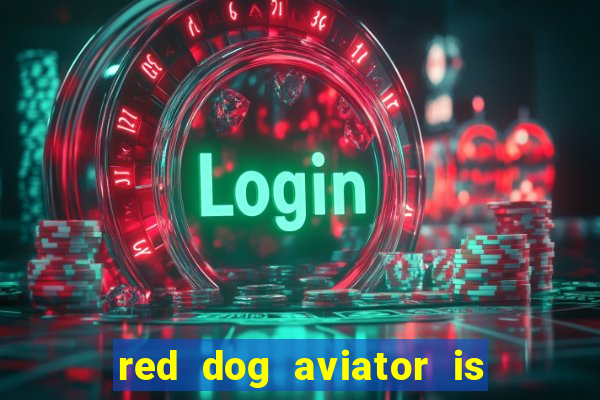 red dog aviator is real or fake