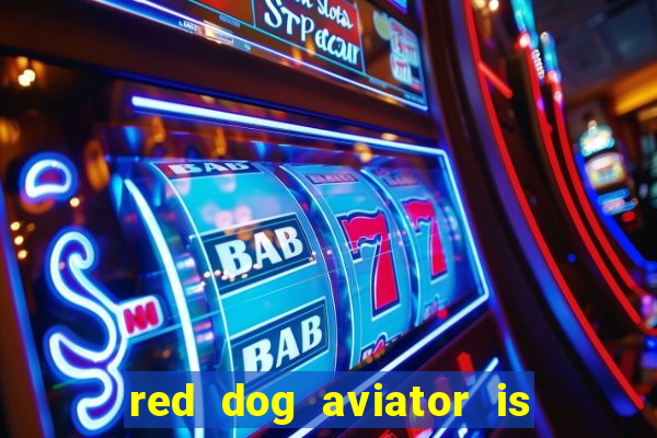 red dog aviator is real or fake