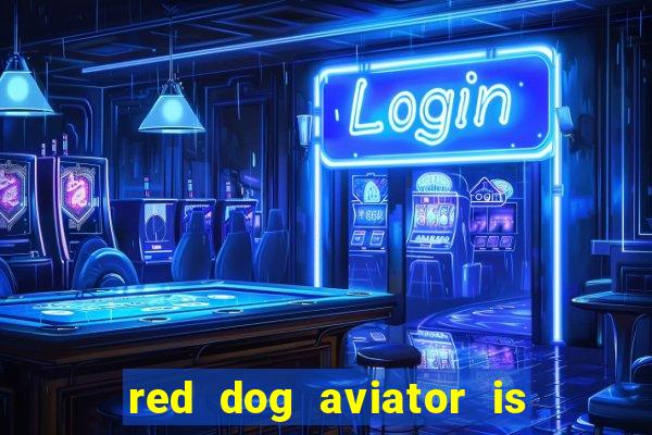 red dog aviator is real or fake